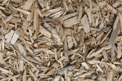 biomass boilers Kinmylies